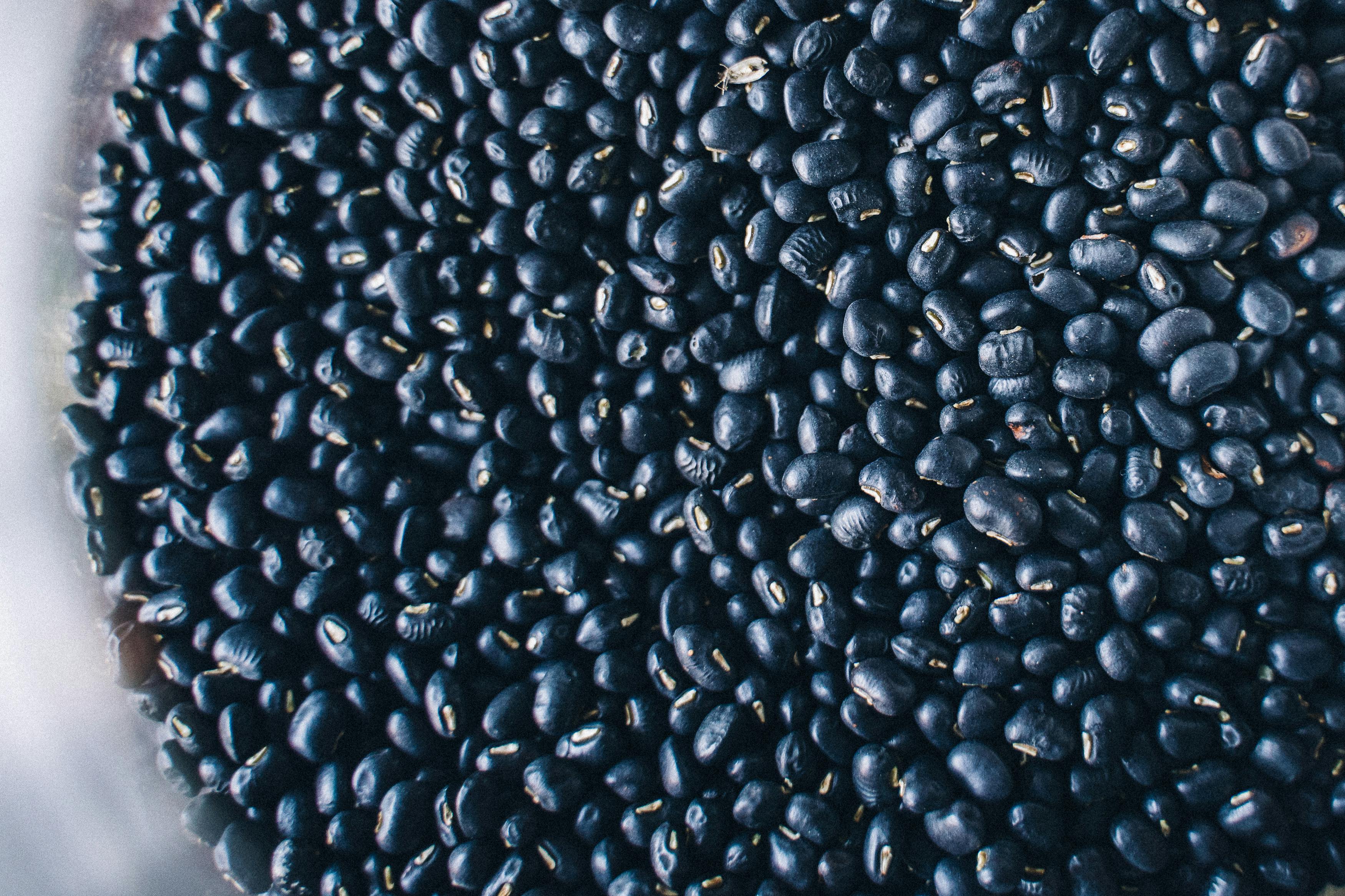 Raw Black Beans
