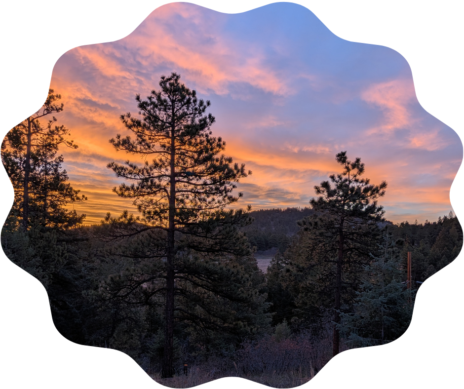 Day 108 Sunrise