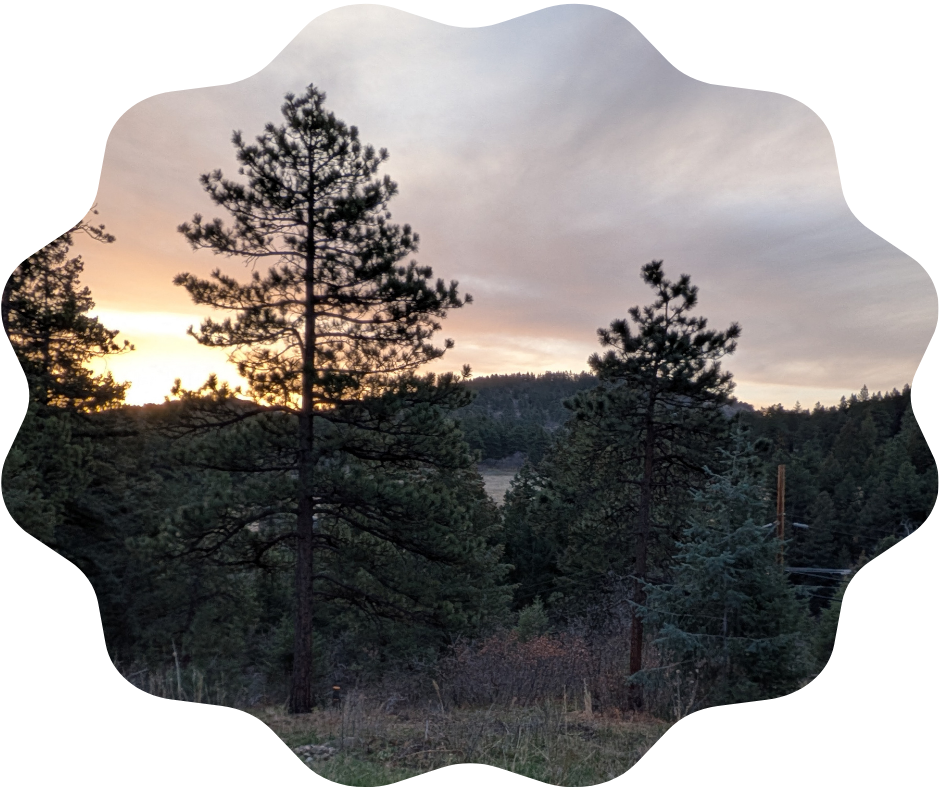 Day 109 Sunrise