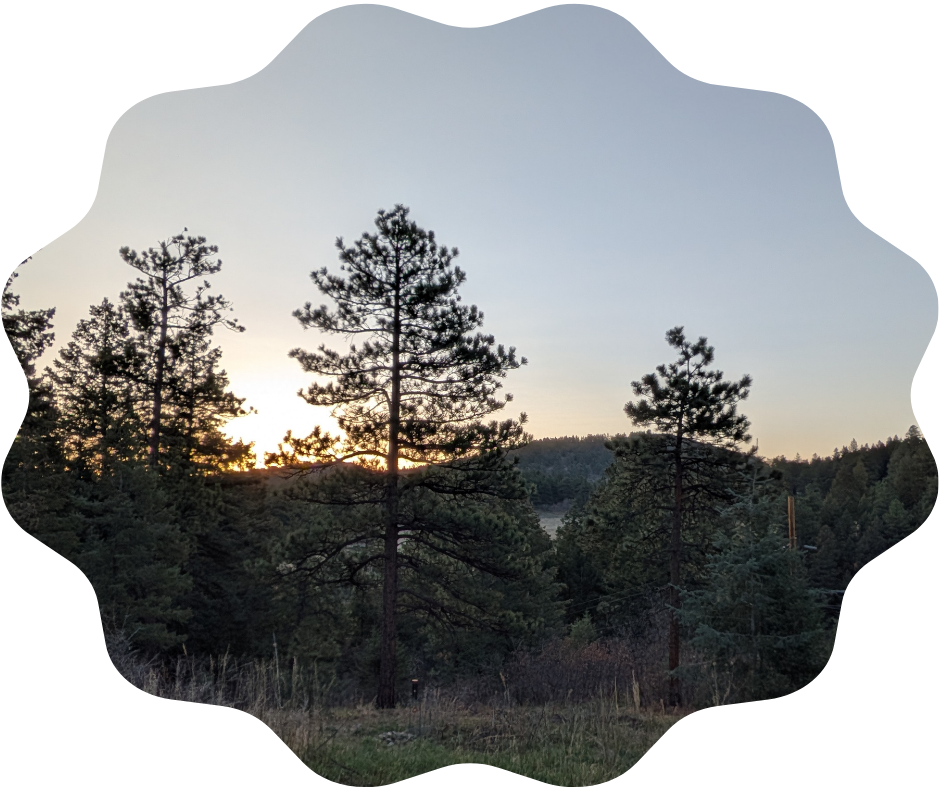 Day 110 Sunrise
