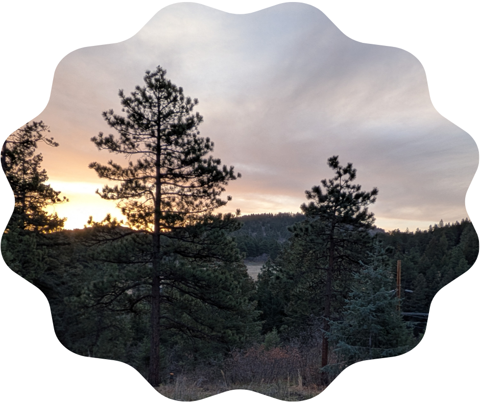 Day 111 Sunrise