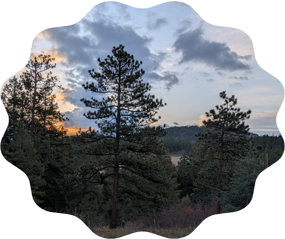 Day 119 Sunrise