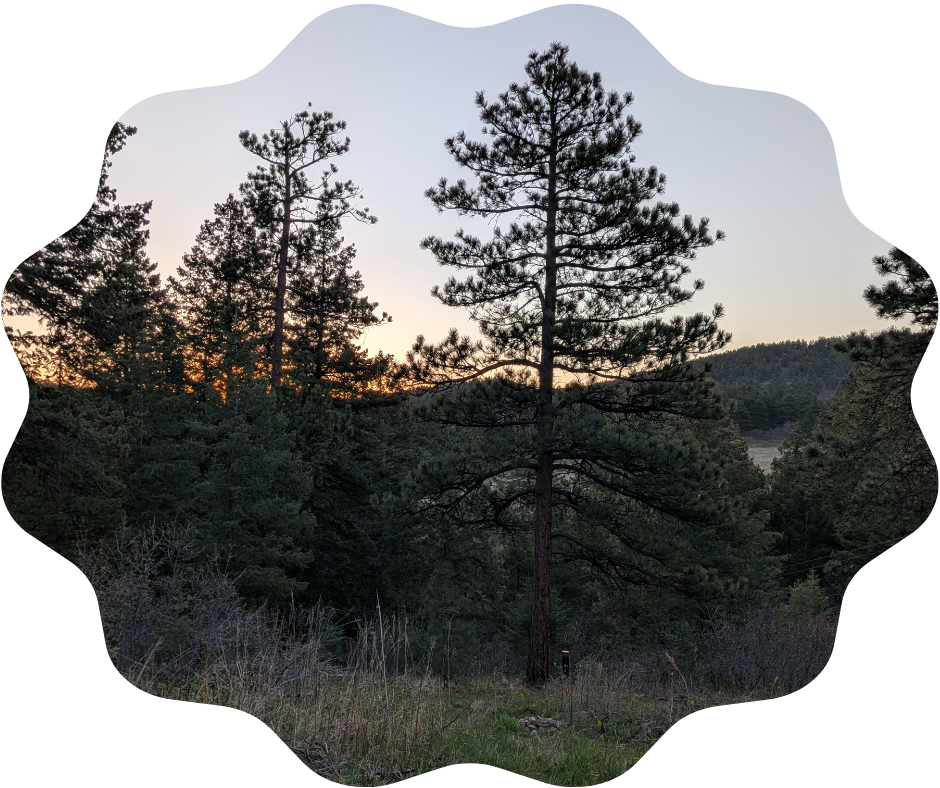Day 135 Sunrise