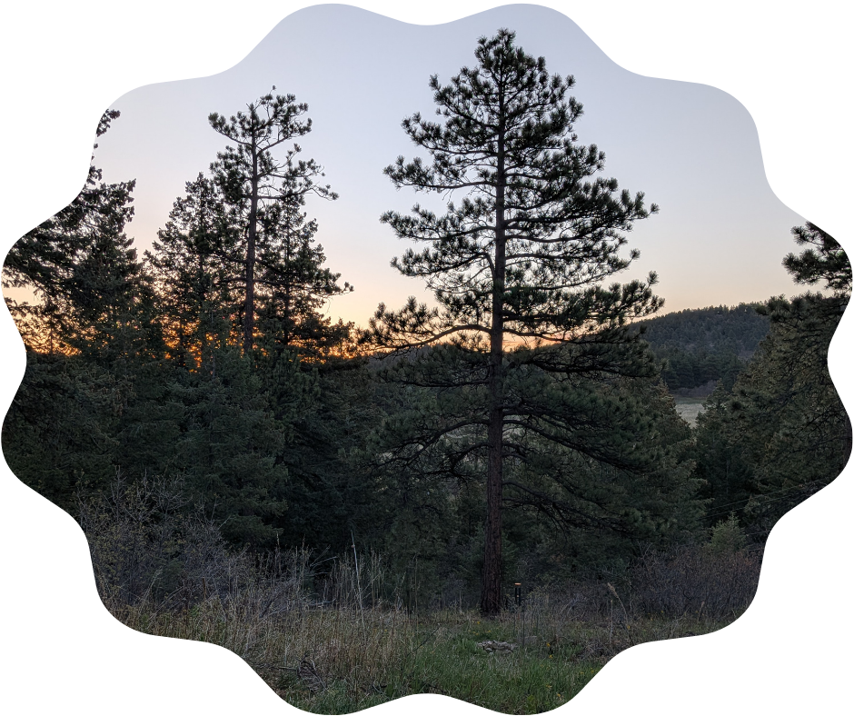 Day 136 Sunrise