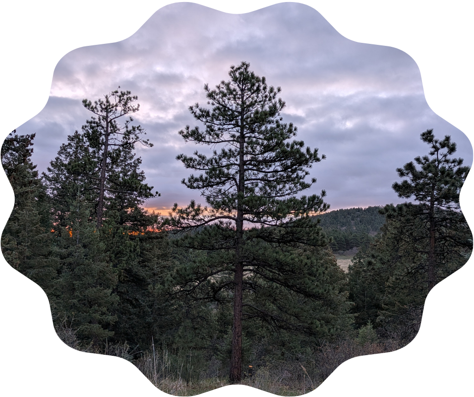 Day 137 Sunrise