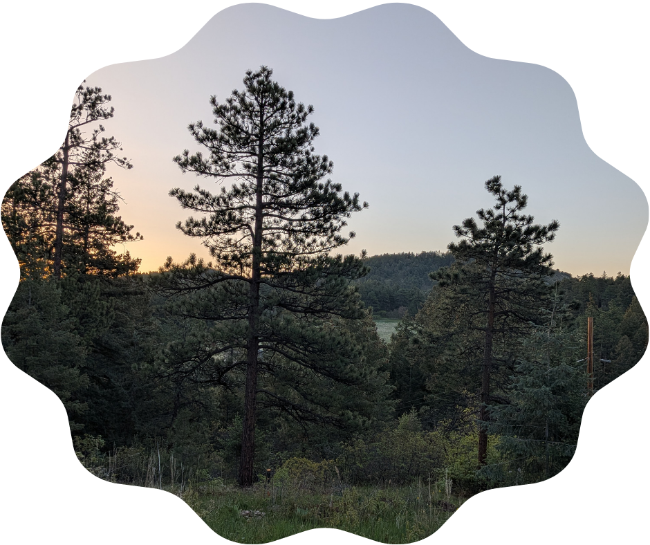 Day 150 Sunrise
