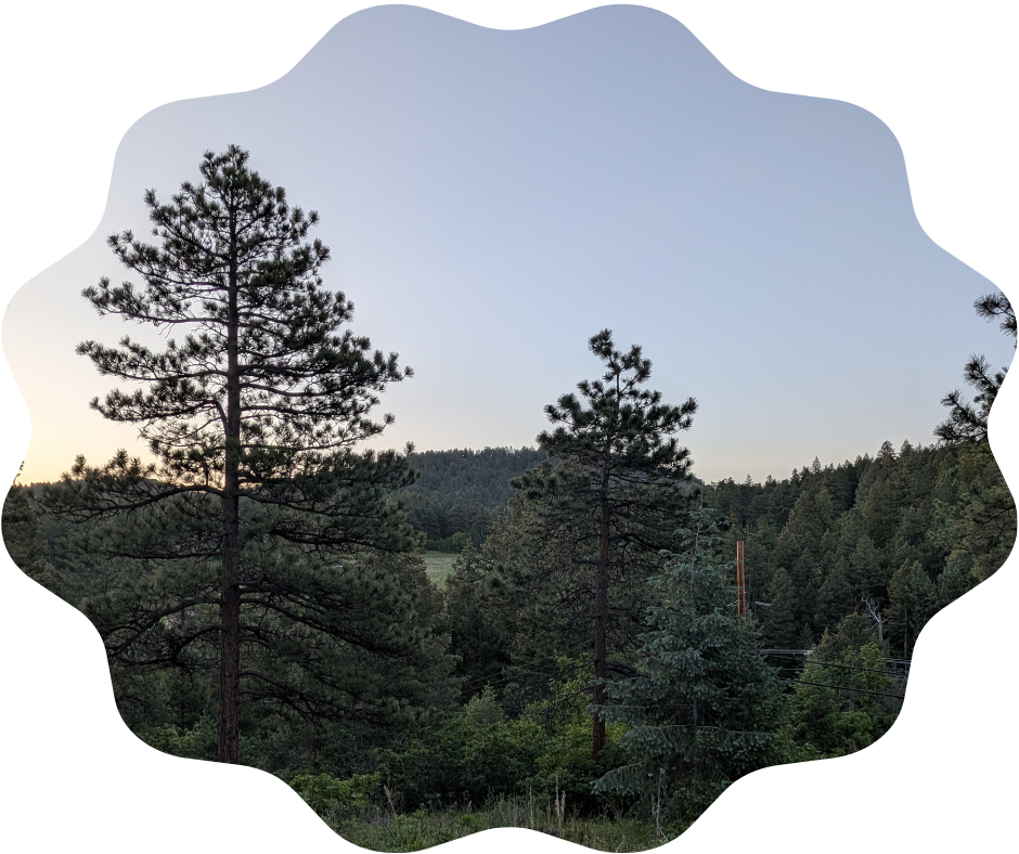 Day 160 Sunrise