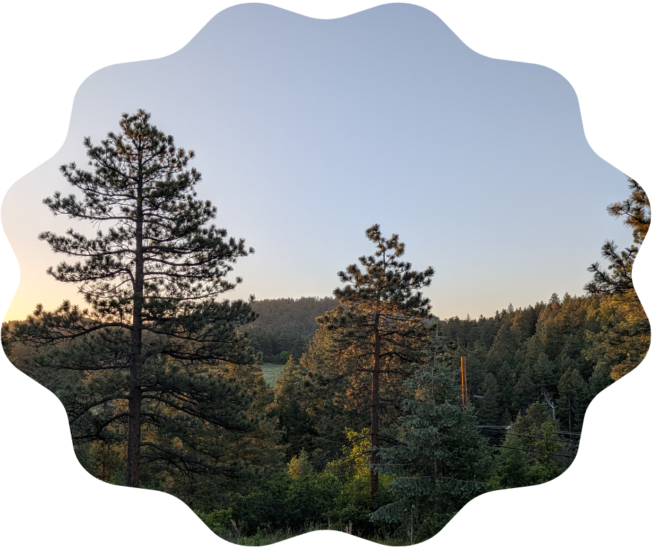 Day 162 Sunrise