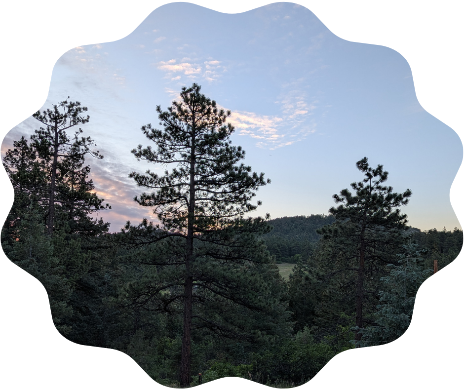 Day 170 Sunrise