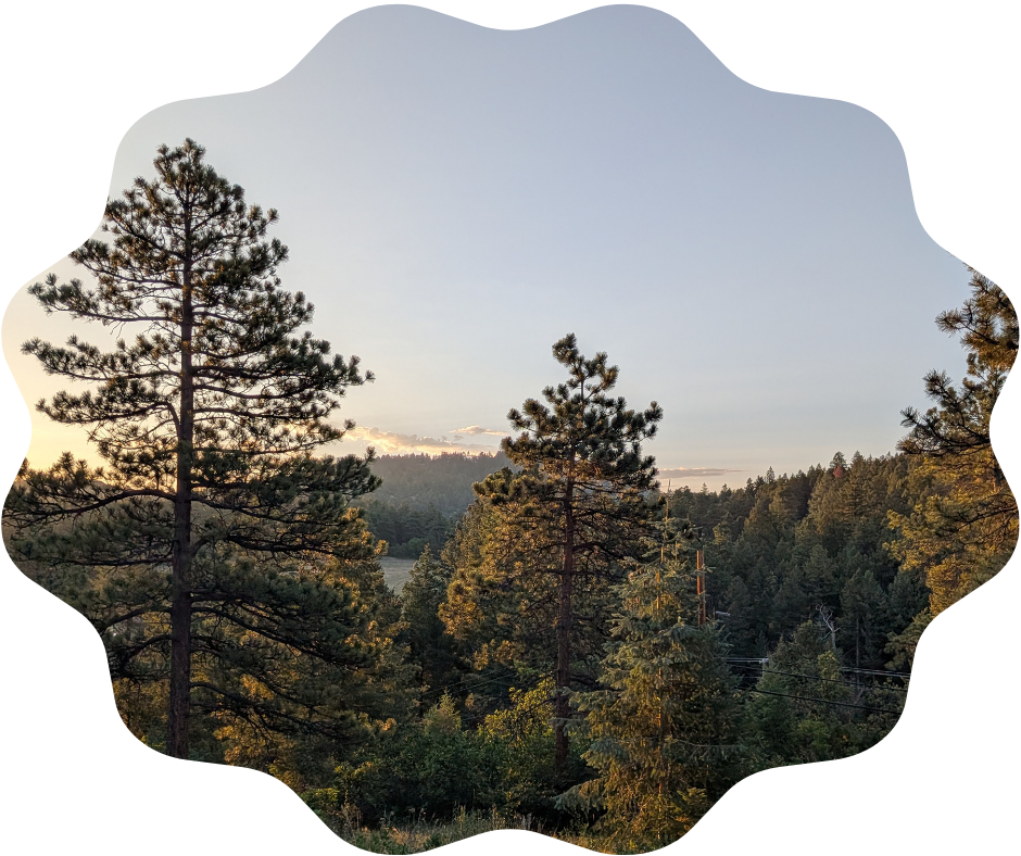 Day 202 Sunrise