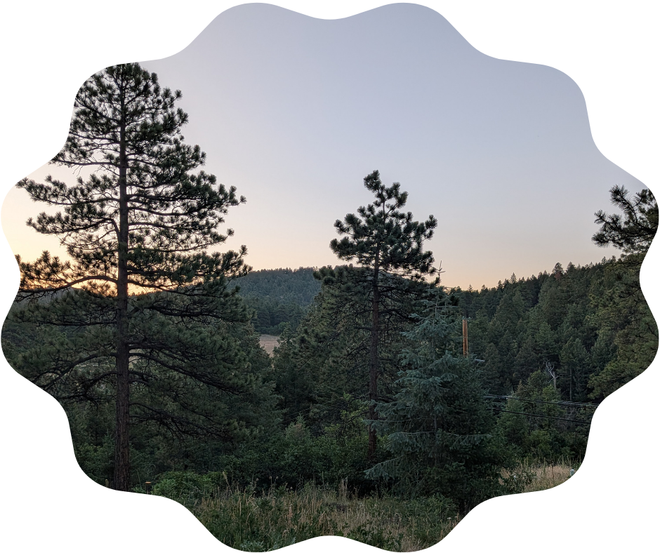 Day 203 Sunrise
