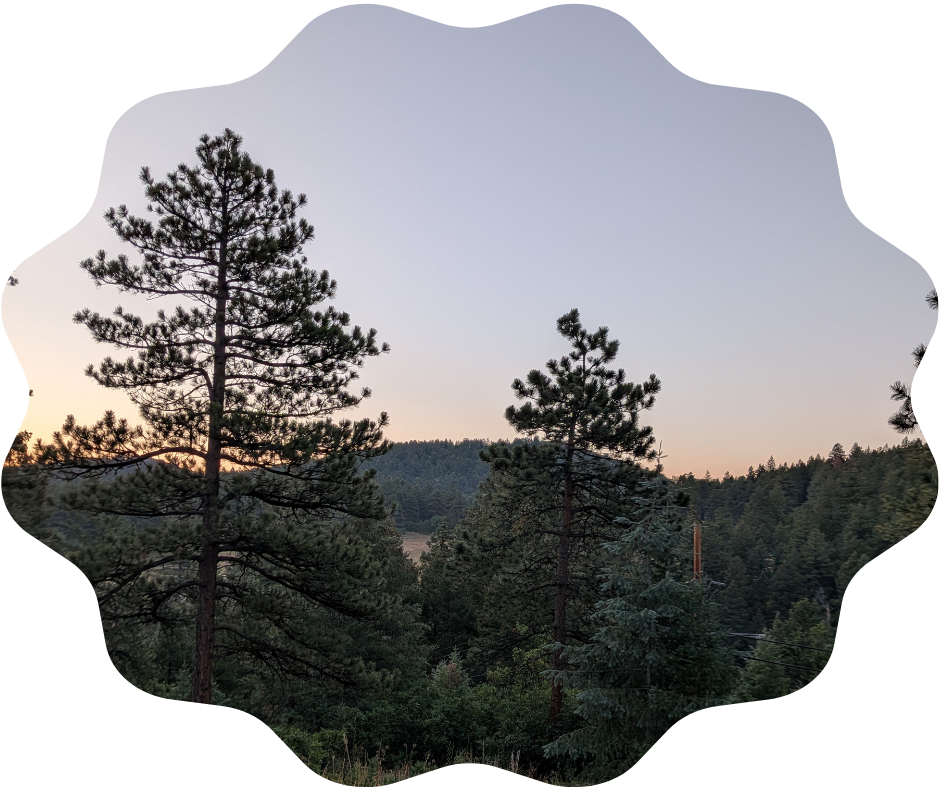 Day 205 Sunrise