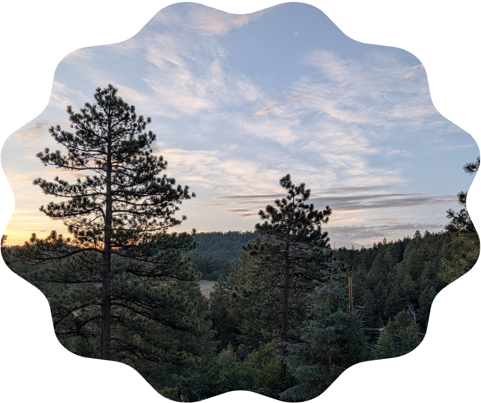 Day 206 Sunrise