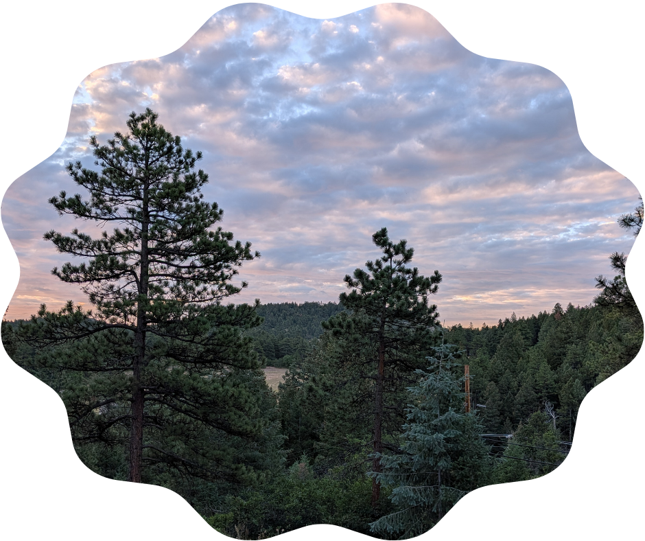 Day 207 Sunrise