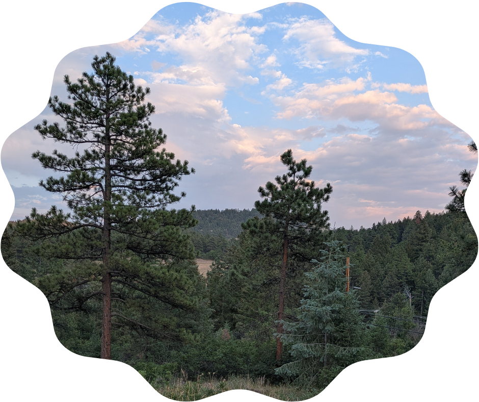 Day 220 Sunrise