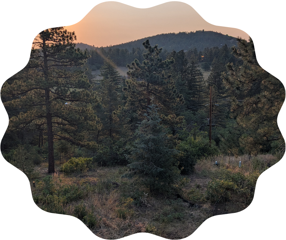 Day 221 Sunrise