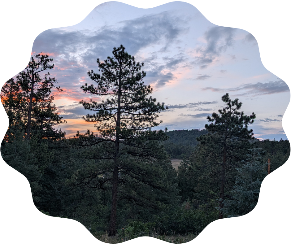 Day 224 Sunrise