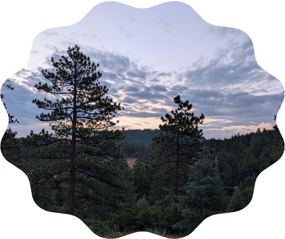 Day 225 Sunrise