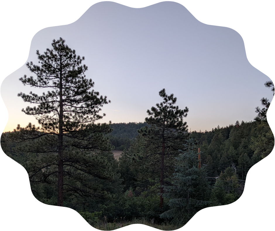 Day 229 Sunrise