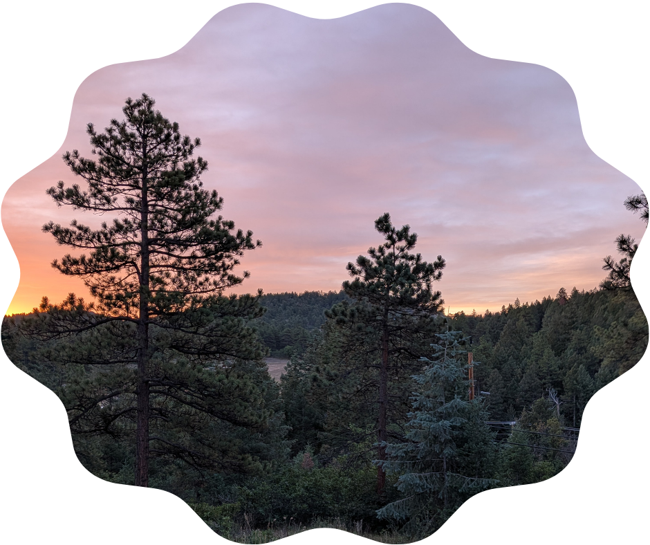 Day 230 Sunrise