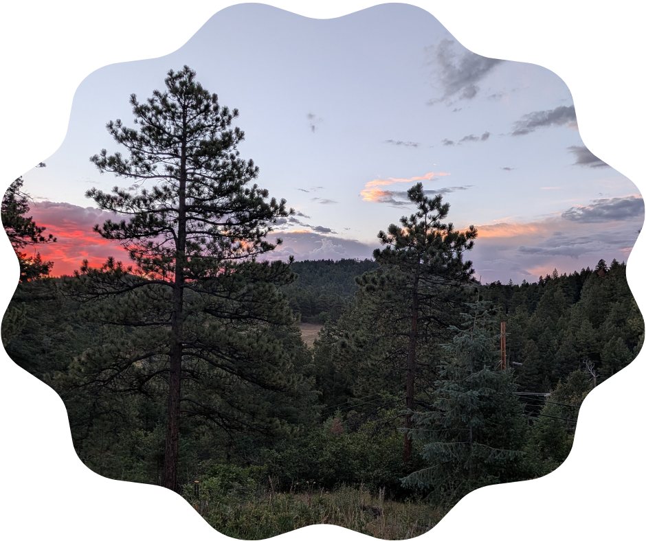 Day 231 Sunrise