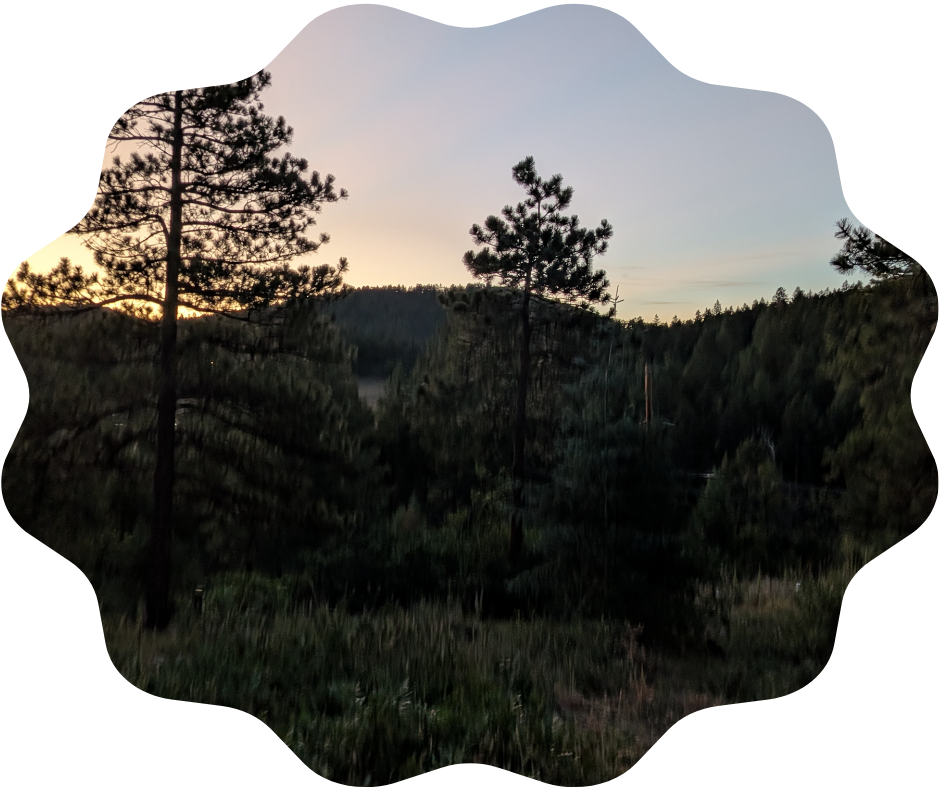 Day 232 Sunrise