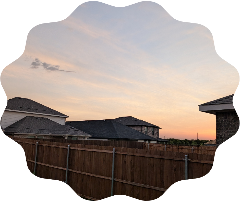 Day 234 Sunrise