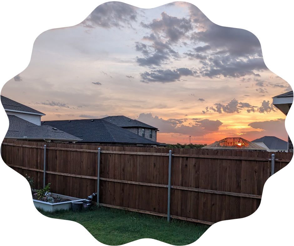 Day 235 Sunrise