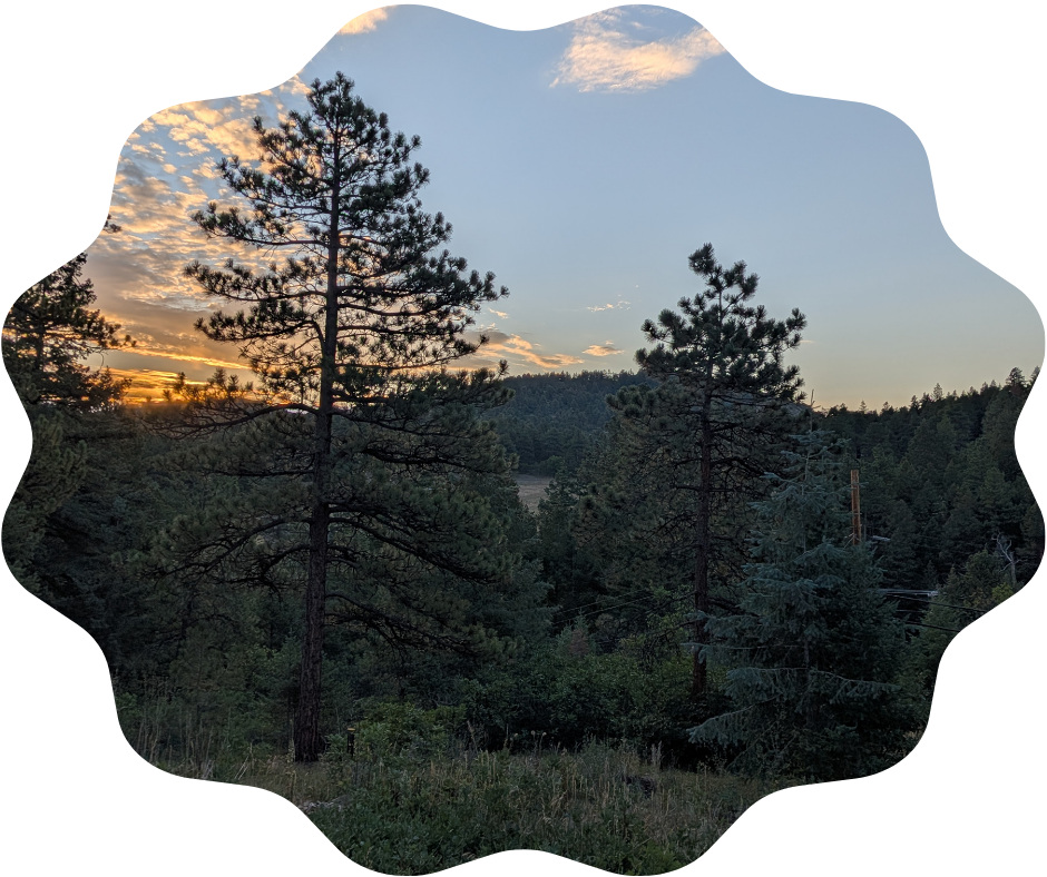 Day 237 Sunrise