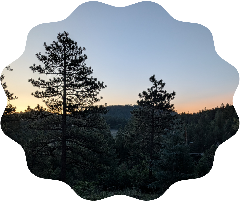 Day 238 Sunrise