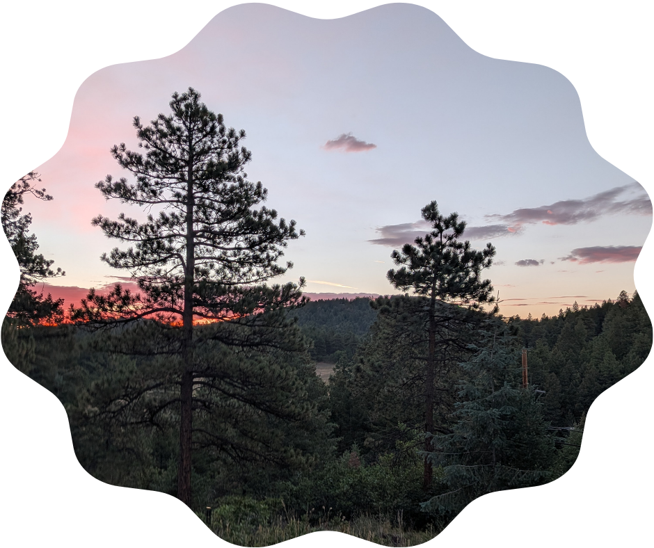 Day 240 Sunrise