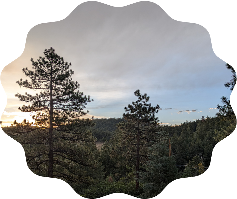 Day 243 Sunrise