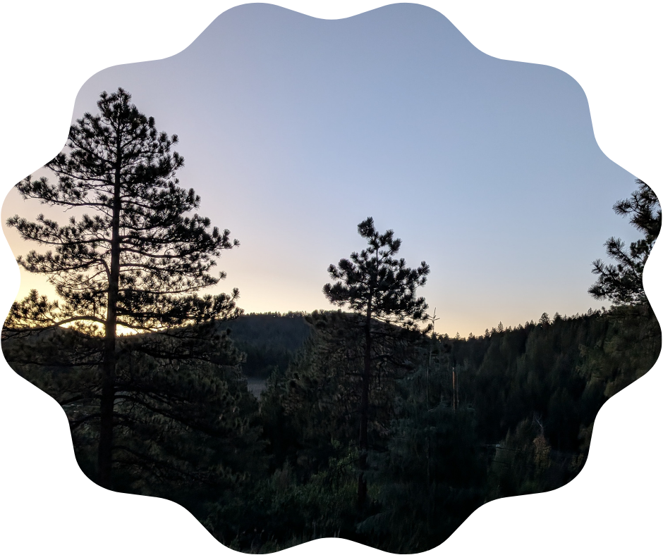 Day 245 Sunrise