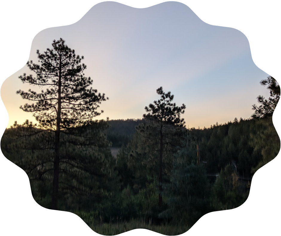 Day 247 Sunrise