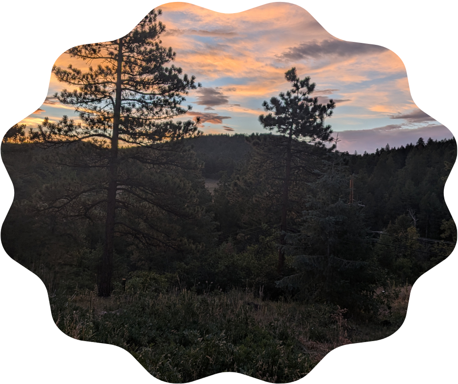Day 248 Sunrise