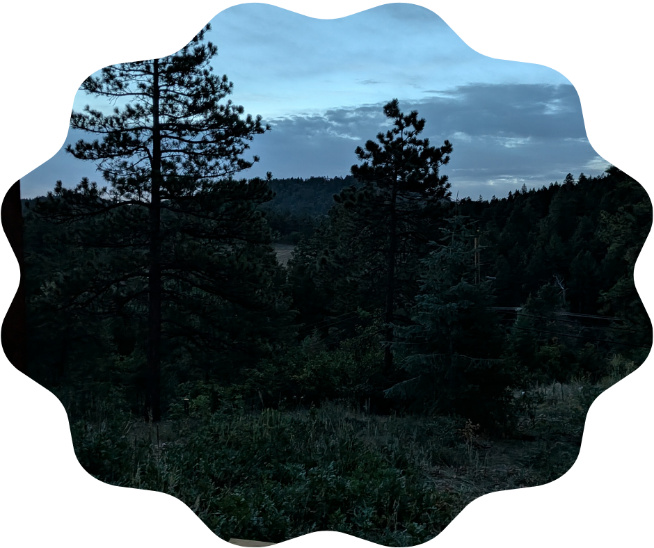 Day 259 Sunrise