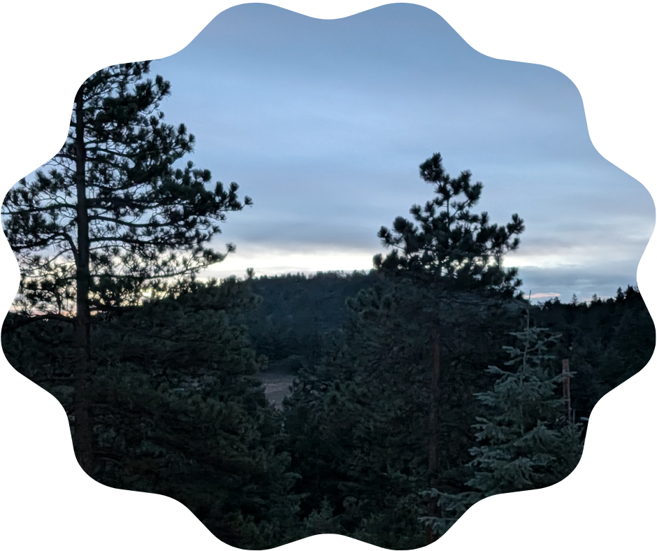 Day 261 Sunrise