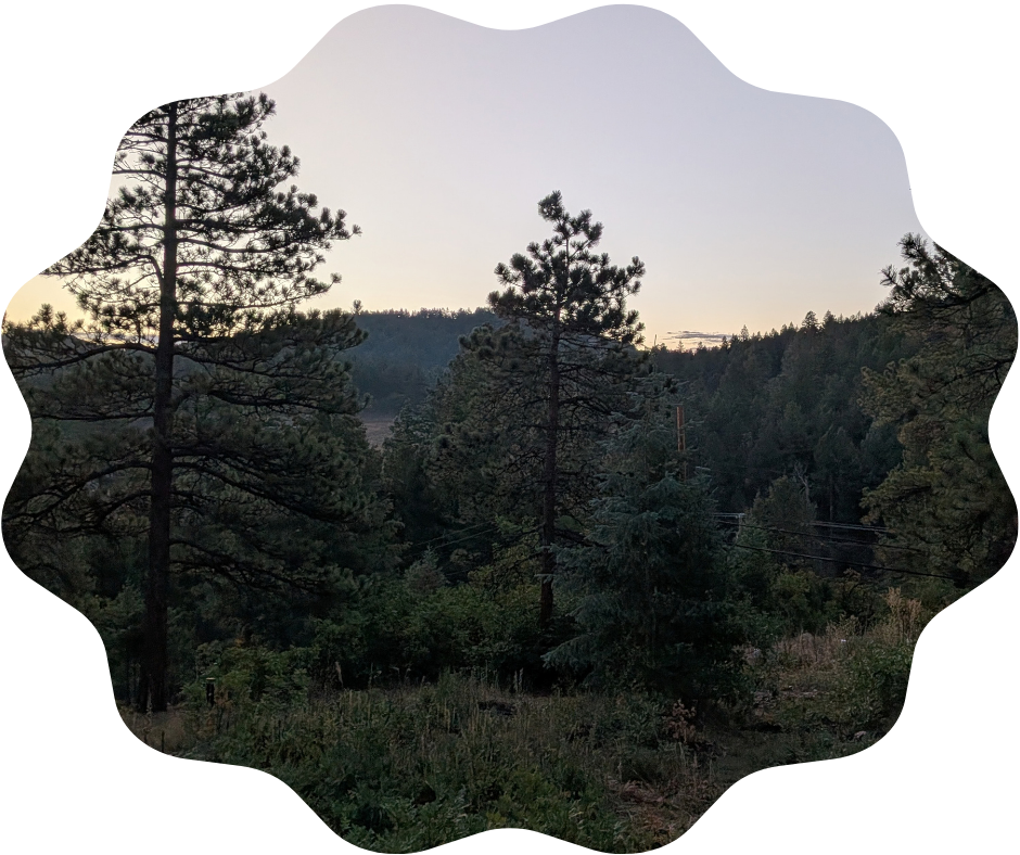 Day 265 Sunrise