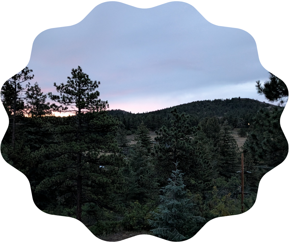 Day 266 Sunrise