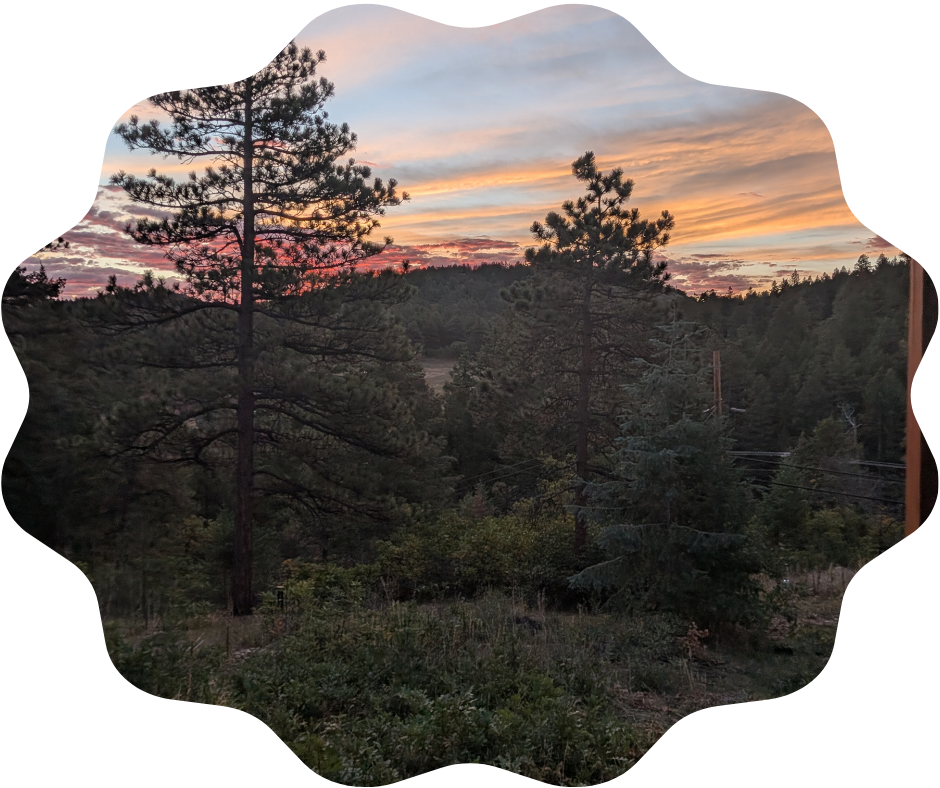 Day 270 Sunrise