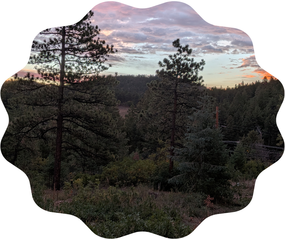 Day 271 Sunrise