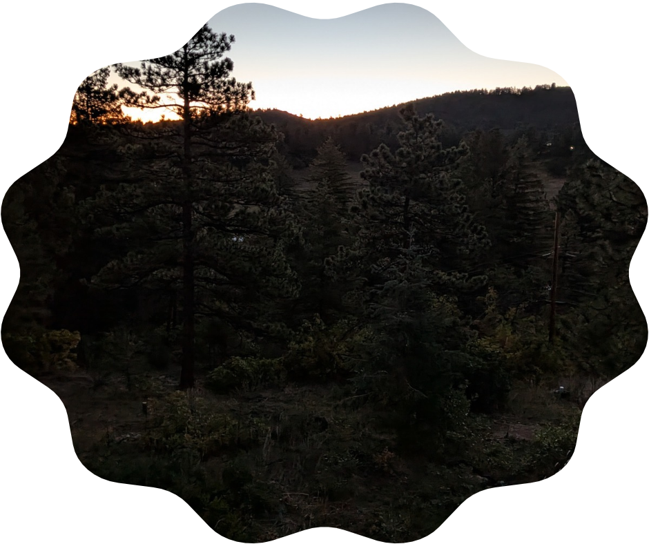 Day 275 Sunrise