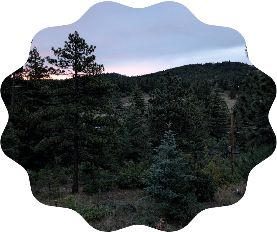 Day 276 Sunrise
