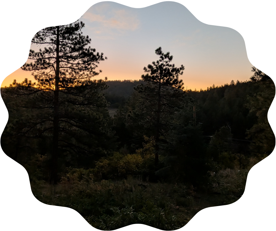 Day 277 Sunrise