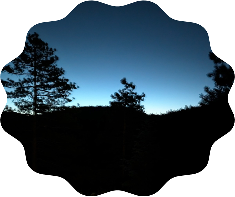 Day 282 Sunrise